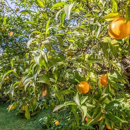 Apartmán Rapallo, A Due Passi Dal Mare Con Veranda E Giardino! Rapallo