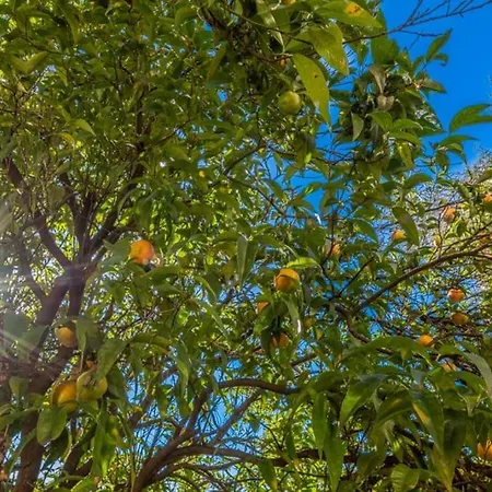 Rapallo, A Due Passi Dal Mare Con Veranda E Giardino! Appartement