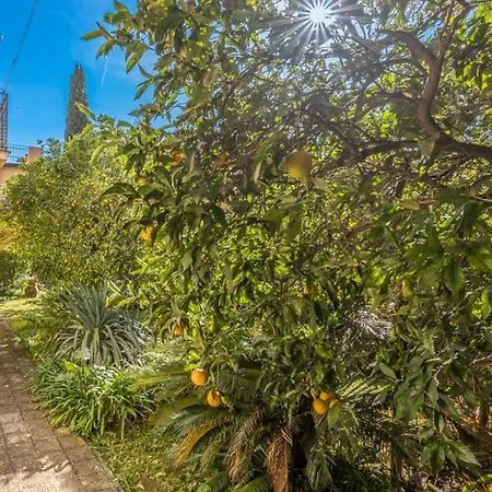 Rapallo, A Due Passi Dal Mare Con Veranda E Giardino! Apartmán